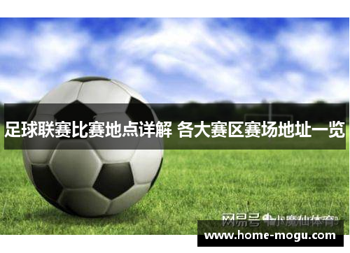 足球联赛比赛地点详解 各大赛区赛场地址一览
